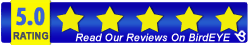 Our Latest Rreviews